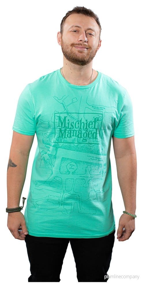 Harry Potter T-shirt Busigt Hanterat - Bild 2