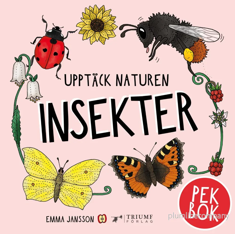 Pekbok – Upptäck naturen Insekter Pekbok – Upptäck naturen Insekter