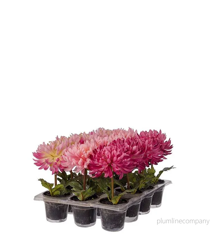 Konstgjord blomma/växt, Chrysanthemum Rosa 5 cm Konstgjord blomma/växt, Chrysanthemum Rosa 5 cm