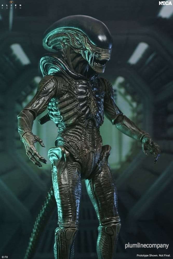 Alien: Earth Ultimate Action Figure Xenomorph 18 cm - Bild 3