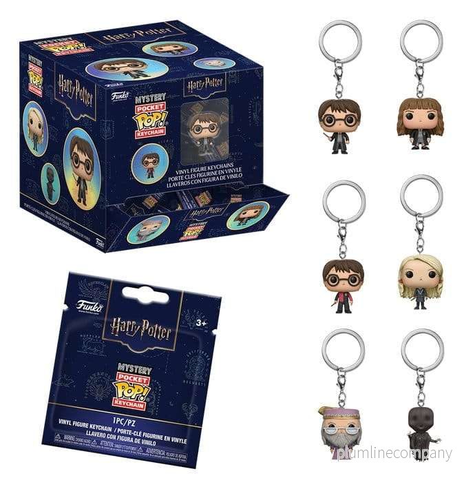 Harry Potter POP! Vinyl-nyckelringar 4 cm display (12)