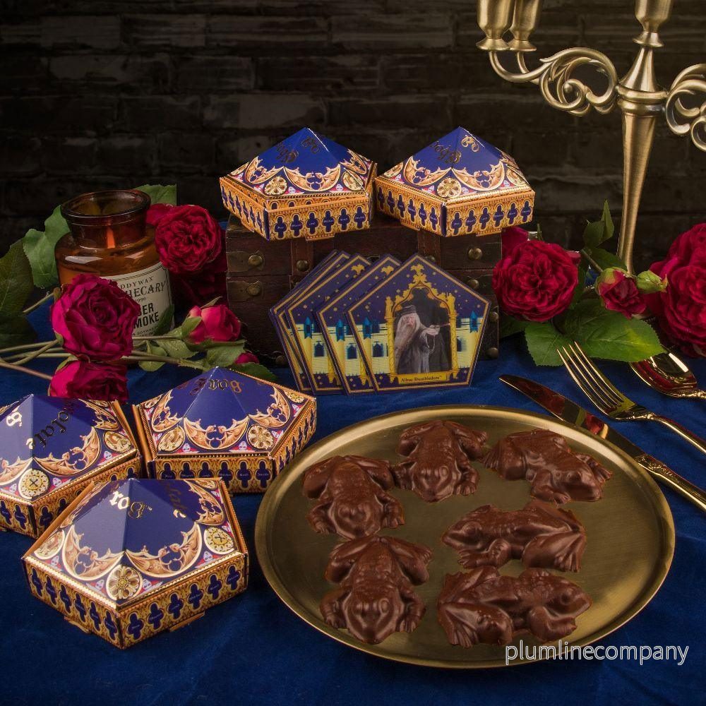 Harry Potter Chocolate Frog Mold Ny Utgåva - Bild 3
