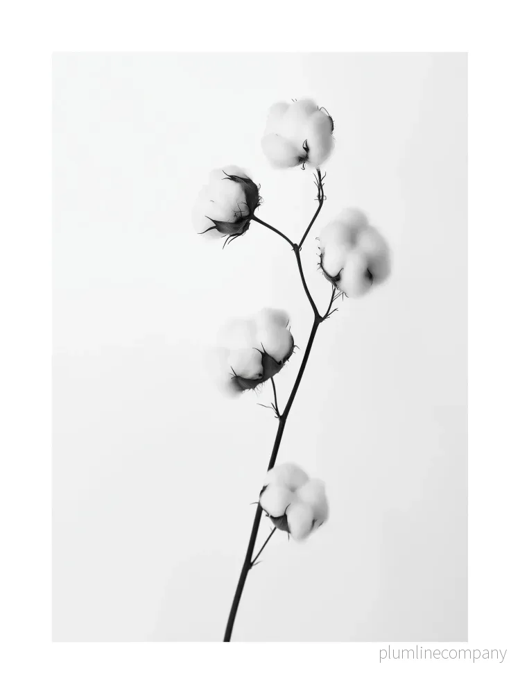 Cotton Stem Minimalist Poster Cotton Stem Minimalist Poster