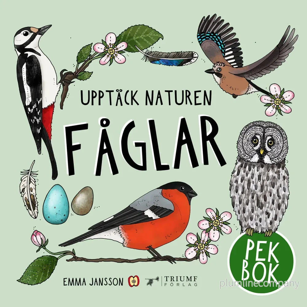 Pekbok – Upptäck naturen Fåglar Pekbok – Upptäck naturen Fåglar