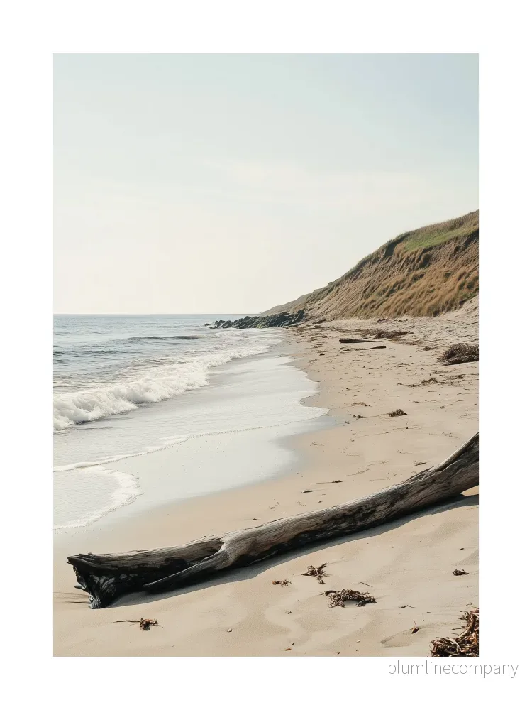 Sandy Cove Shoreline Poster