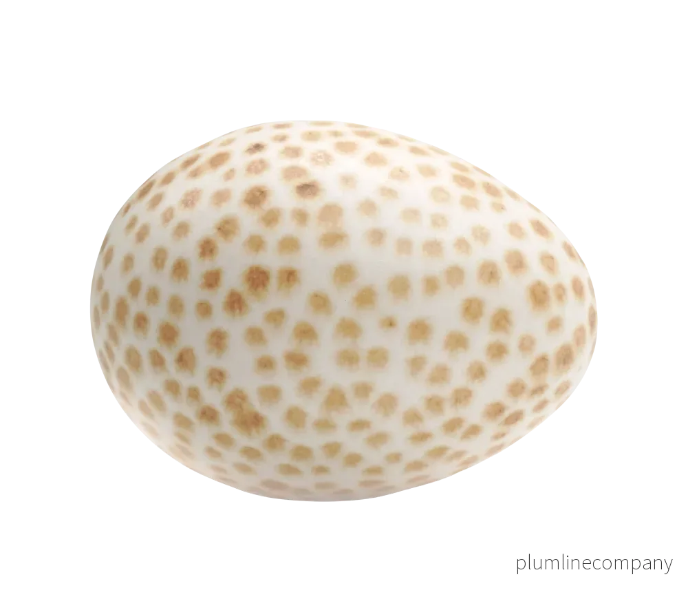 Ägg Mini Prick Vit/Karamell