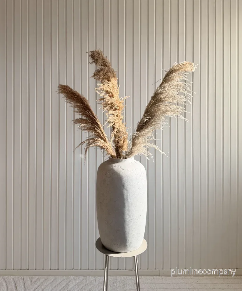 Pampasgräs ’VILDA’ 110cm Pampasgräs ’VILDA’ 110cm