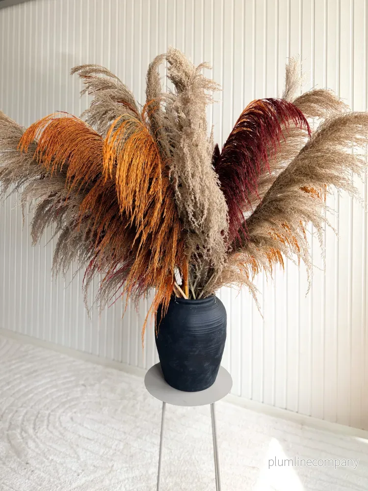Pampas Mixbunt 'AUGUST' XL - Bild 2