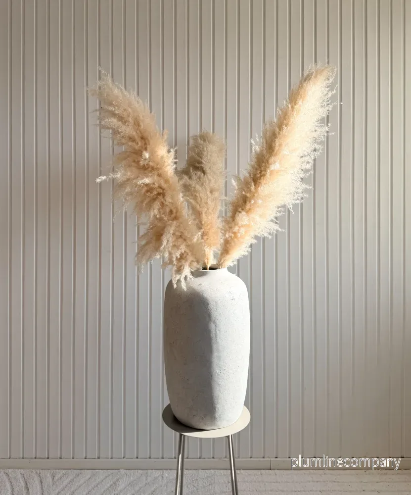 Pampasgräs 110cm Pampasgräs 110cm