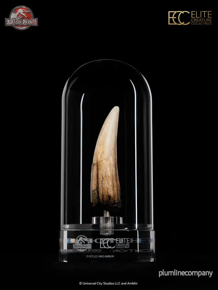 Jurassic Park III Prop Replica 1/1 Spinosaurus Tooth 14 cm - Bild 3