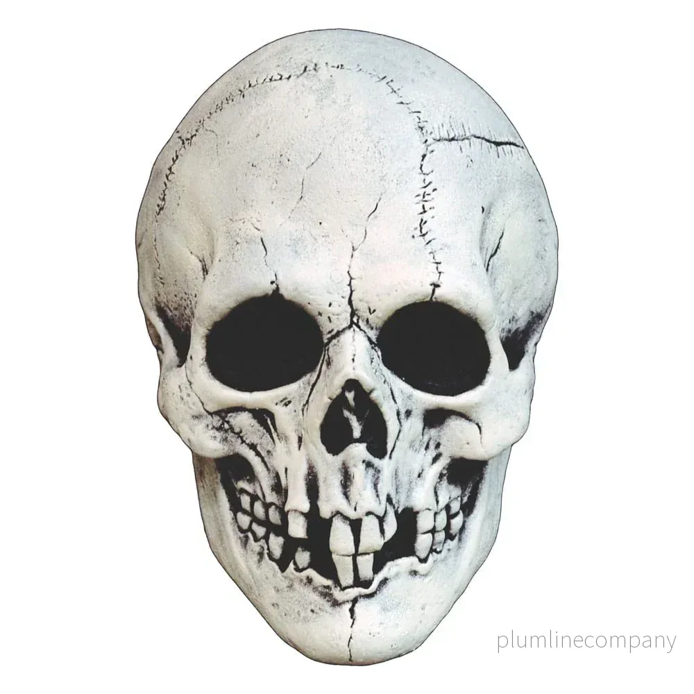 Mabry Monsters Mask Night Owl Skull Vit - Bild 2