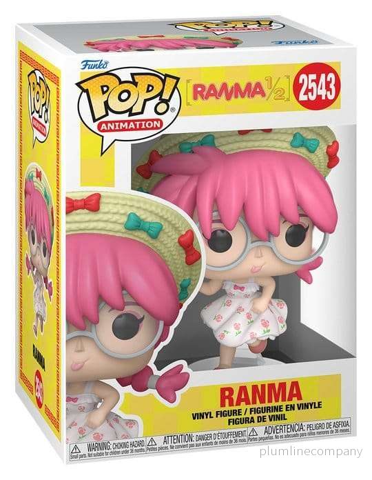 Ranma 1/2 POP! Animation Vinylfigurer Ranma med Chase 9 cm Assortment (6) - Bild 3