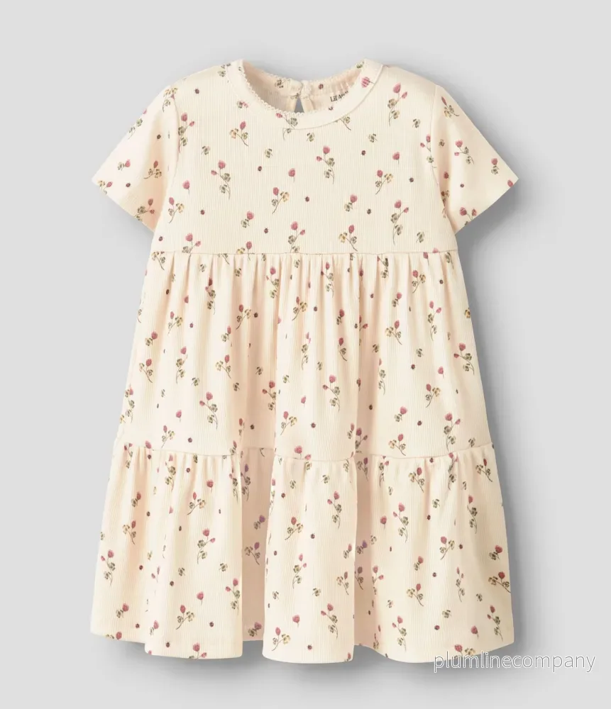 SISTA CHANSEN – KORTÄRMAD KLÄNNING – NMFLAVO ERA SS DRESS LIL SISTA CHANSEN – KORTÄRMAD KLÄNNING – NMFLAVO ERA SS DRESS LIL