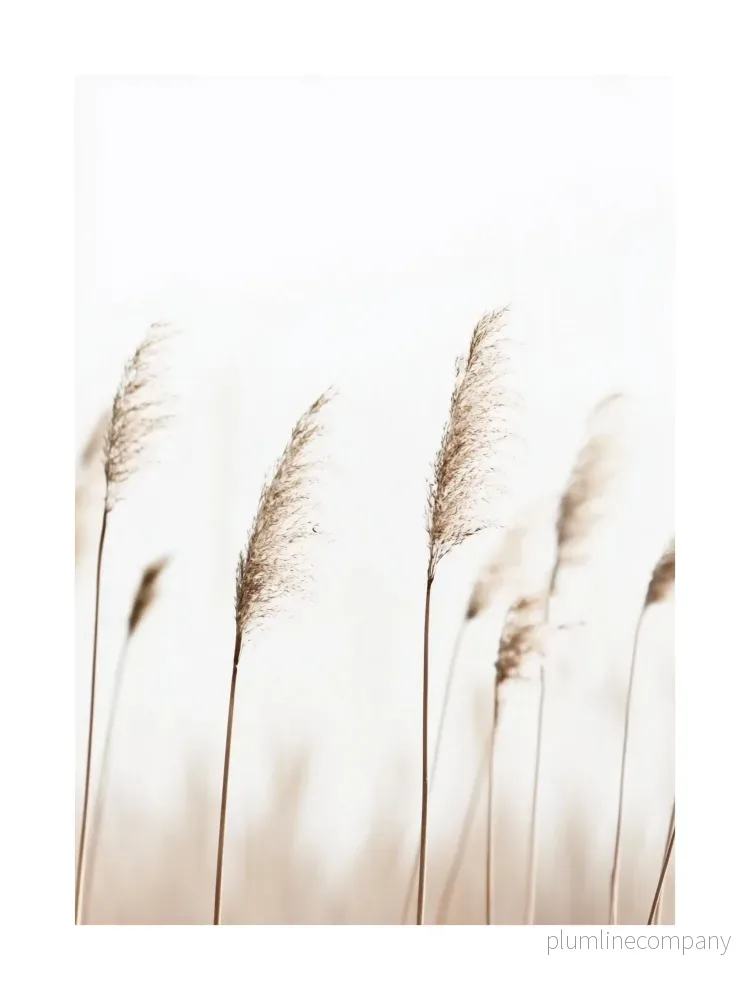 Golden Reeds in Wind Poster