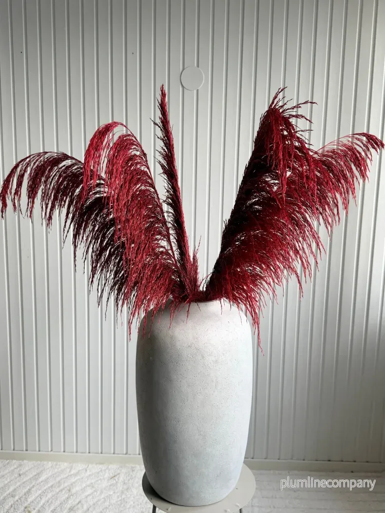 Pampas ’VILDA’ VELVET 5-pack Pampas ’VILDA’ VELVET 5-pack
