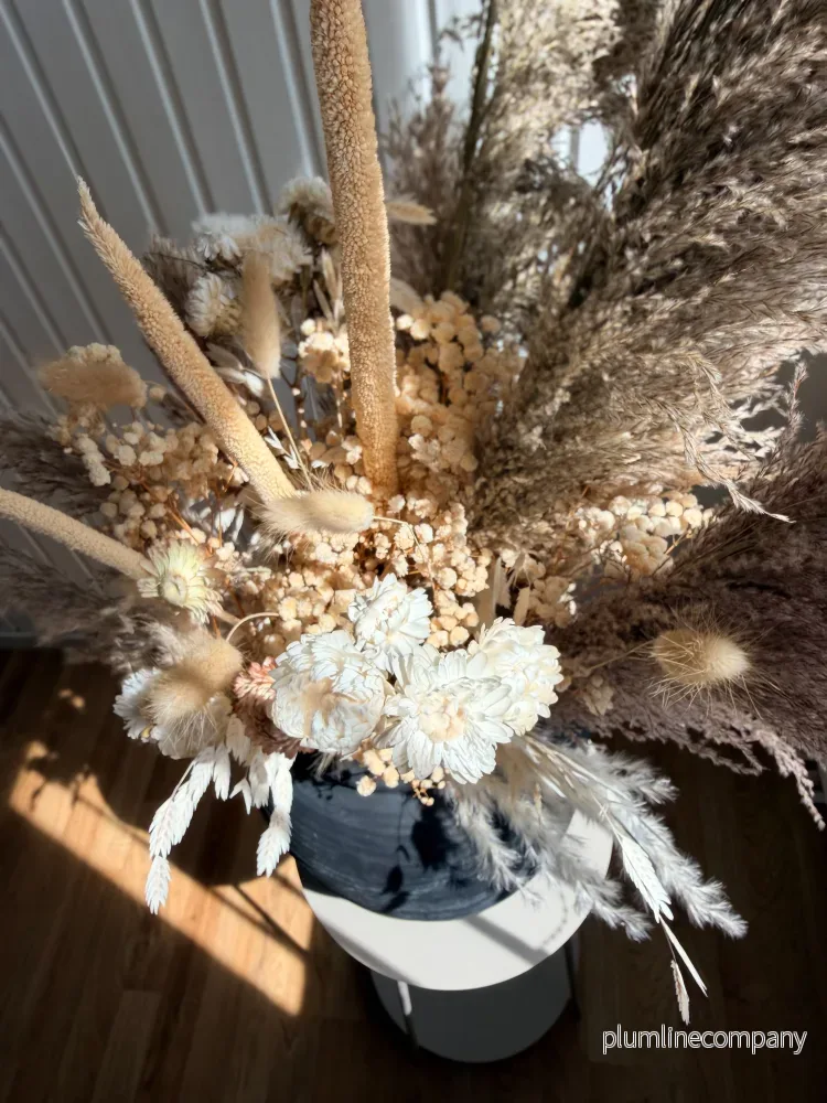 Pampas Mixbunt ’TRE KRONOR’ - Bild 2
