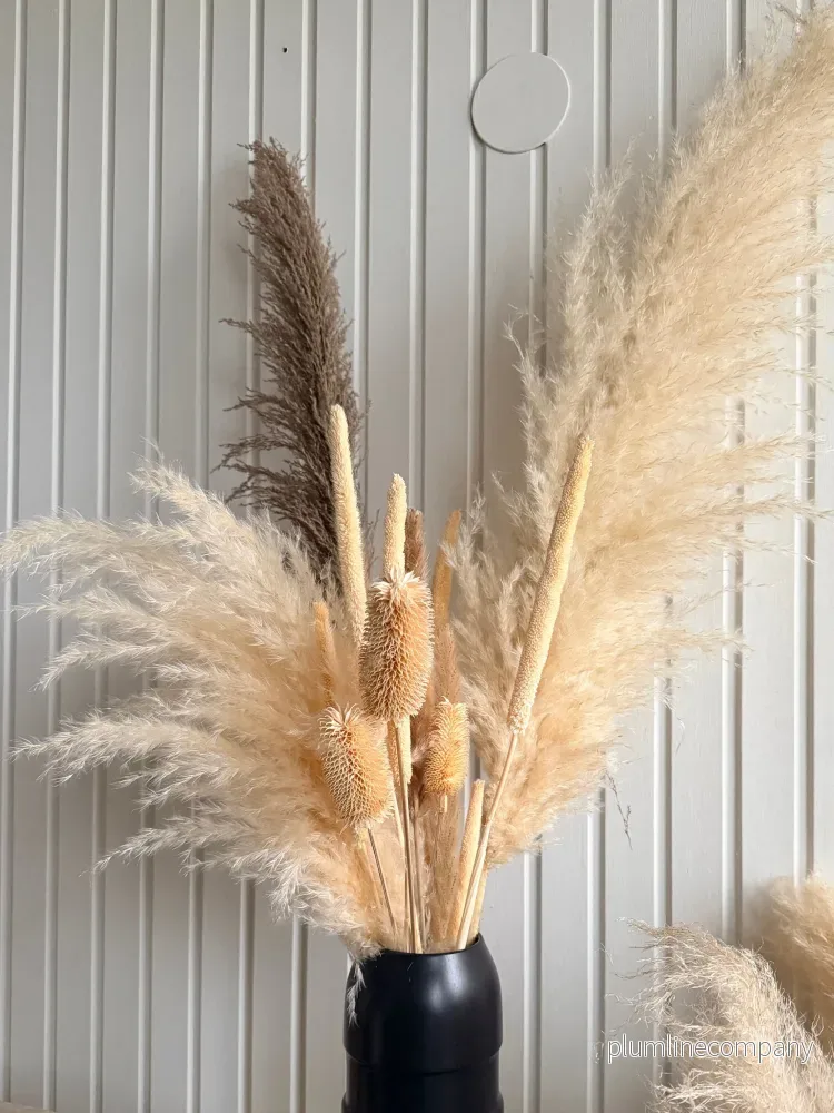 Pampas Mixbunt 'ÖKEN' - Bild 2