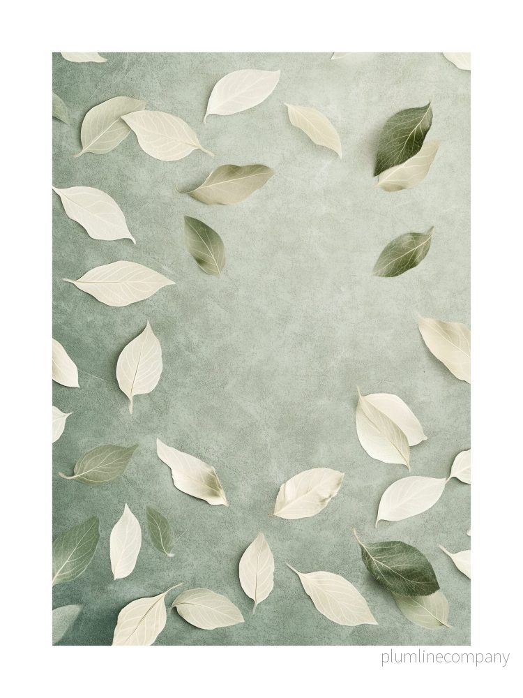 Floating Leaves Poster Floating Leaves Poster