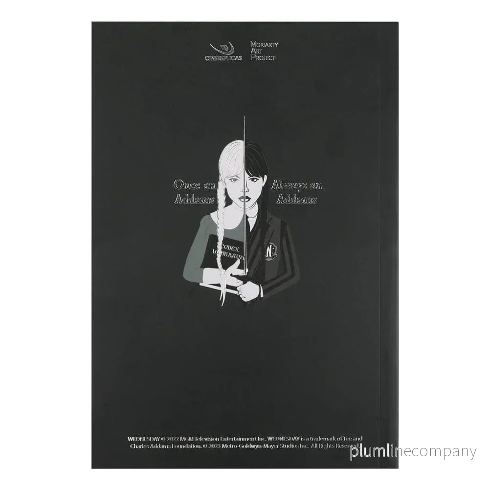 Notebook Wednesday med Cello - Bild 3