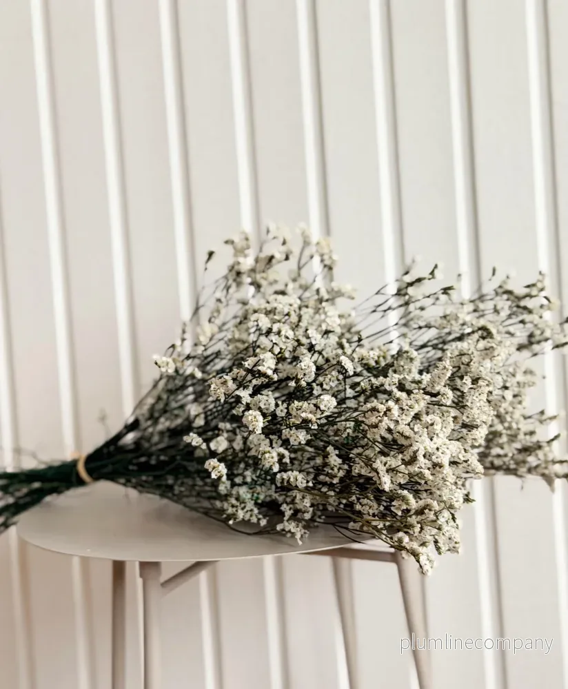 Torkad Limonium - Bild 3
