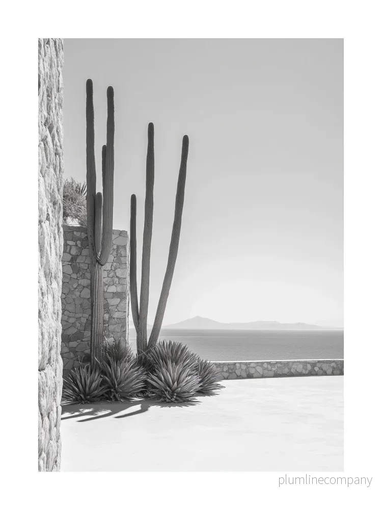 Cactus Courtyard Poster