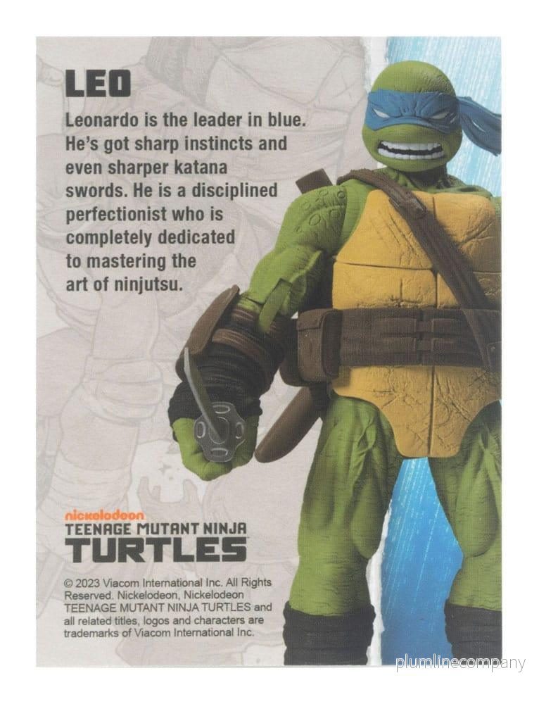 Teenage Mutant Ninja Turtles BST AXN Actionfigur Leonardo (IDW Comics) 13 cm - Bild 2