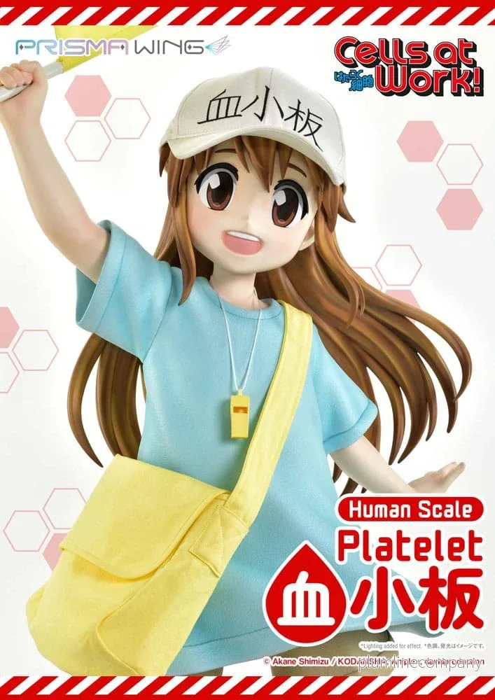 Cells at Work! Life Scale Masterline Series staty Platelet 100 cm - Bild 3