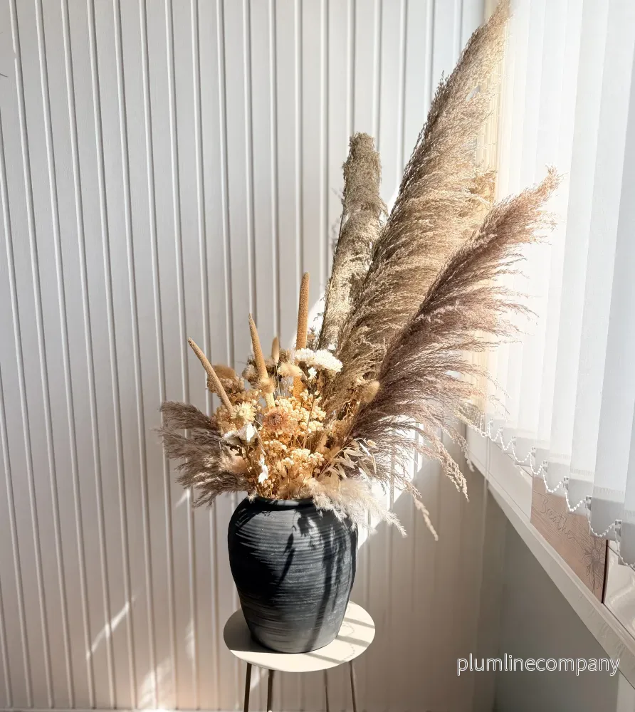 Pampas Mixbunt ’TRE KRONOR’ Pampas Mixbunt ’TRE KRONOR’