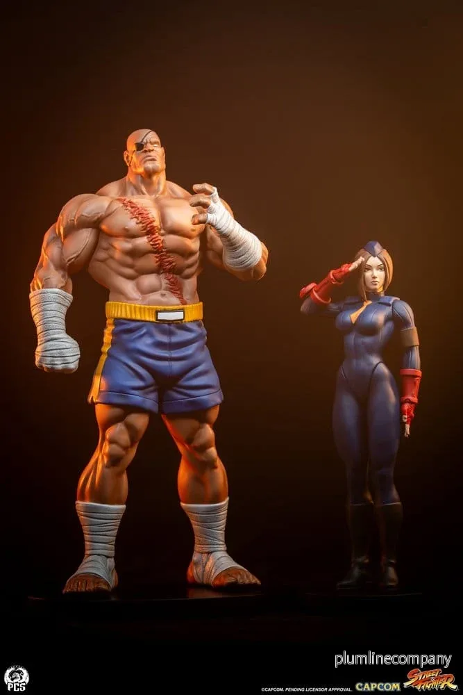 Street Fighter Street Jam Figur 1:10 Sagat & Juli 24 cm - Bild 3