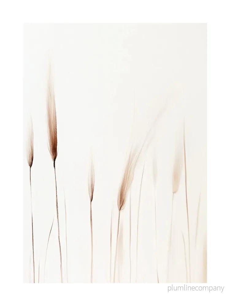 Minimalist Wheat Stalks Poster