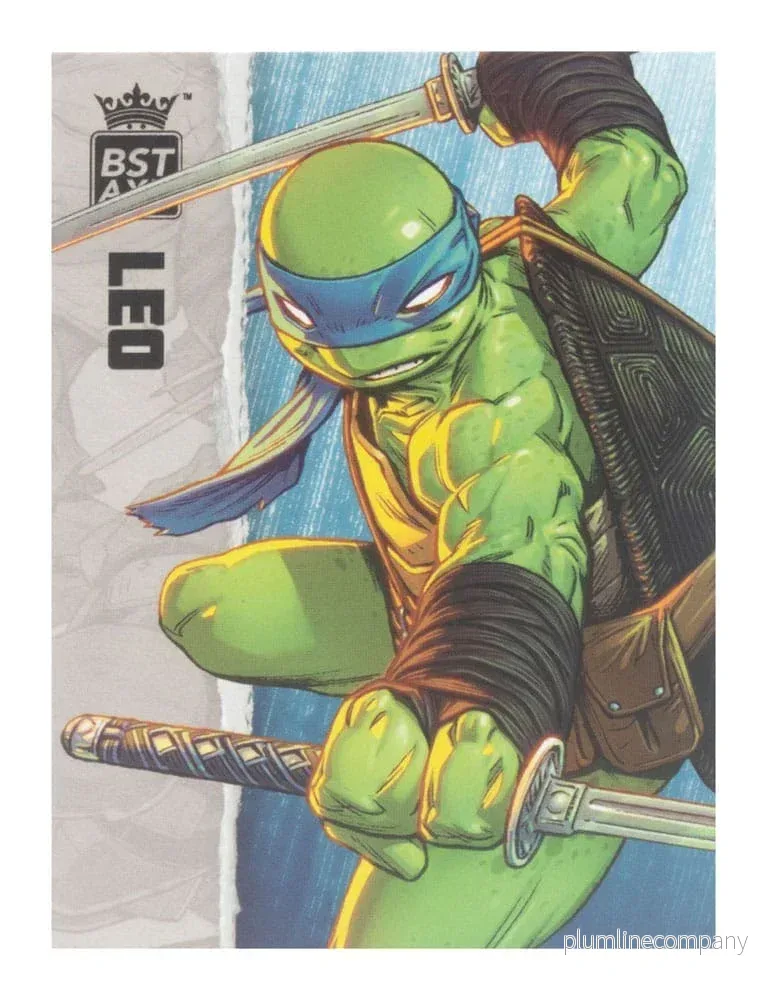 Teenage Mutant Ninja Turtles BST AXN Actionfigur Leonardo (IDW Comics) 13 cm - Bild 3