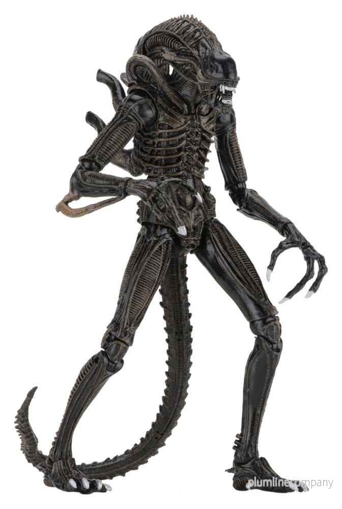 Aliens Ultimata Actionfigur Krigare (1986) Brun 23 cm - Bild 3