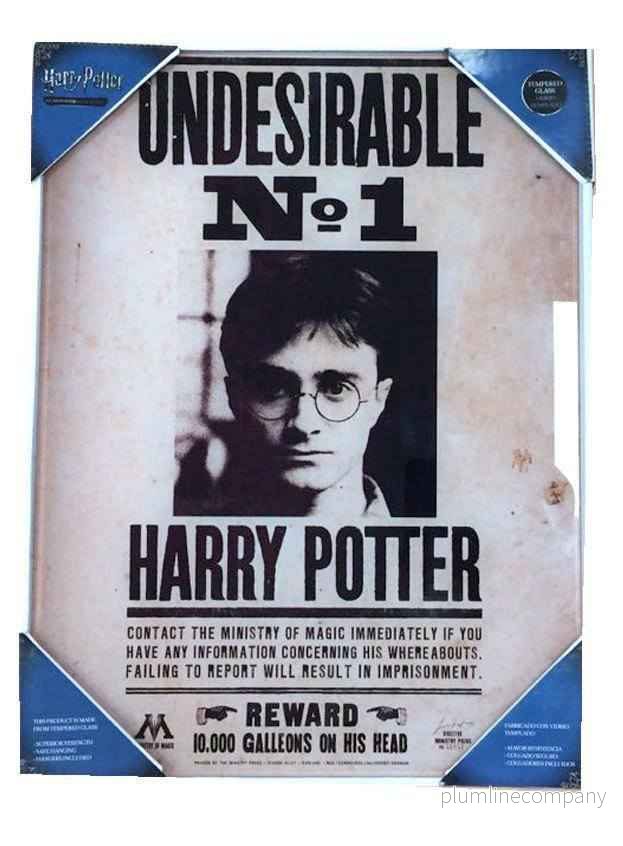 Harry Potter Glasposter Oönskad Nr 1 30 x 40 cm