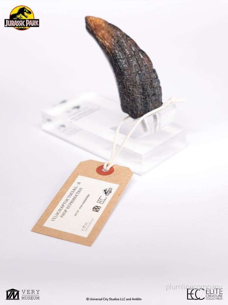 Jurassic Park 1/1 Replica Velociraptor-klotå Typ A 11 cm - Bild 2
