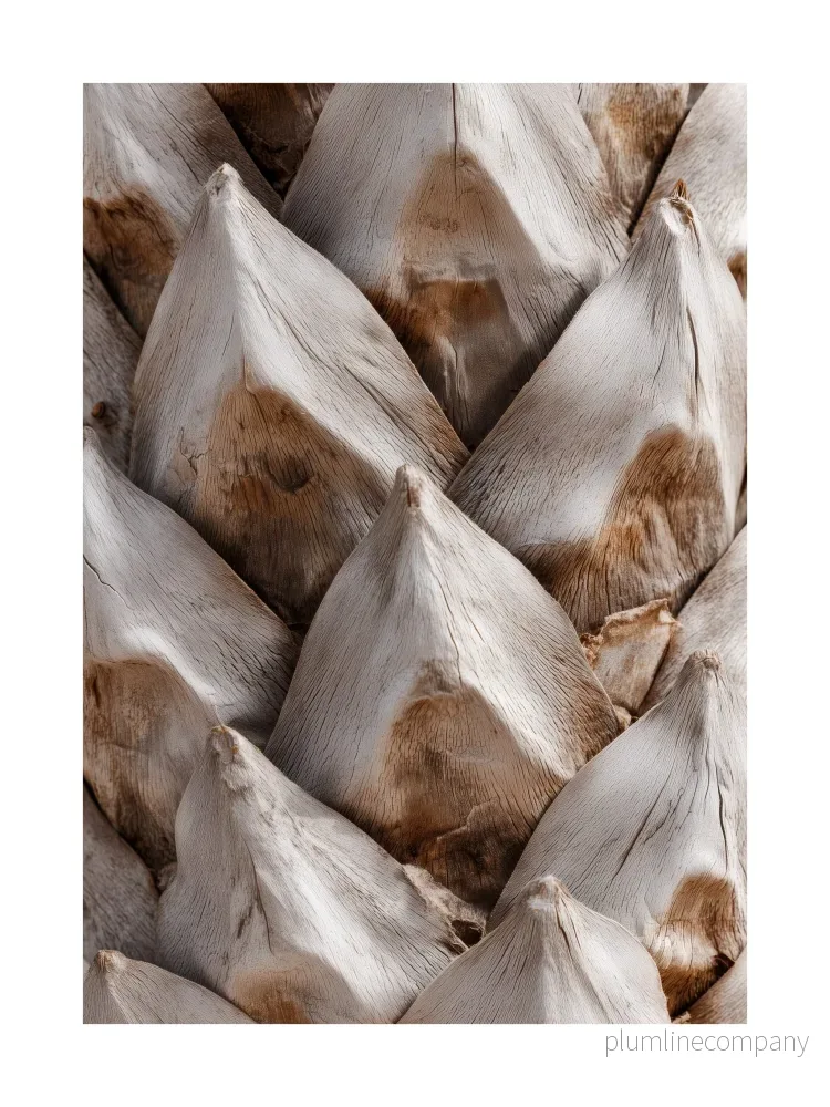 Natural Pine Cone Texture Poster