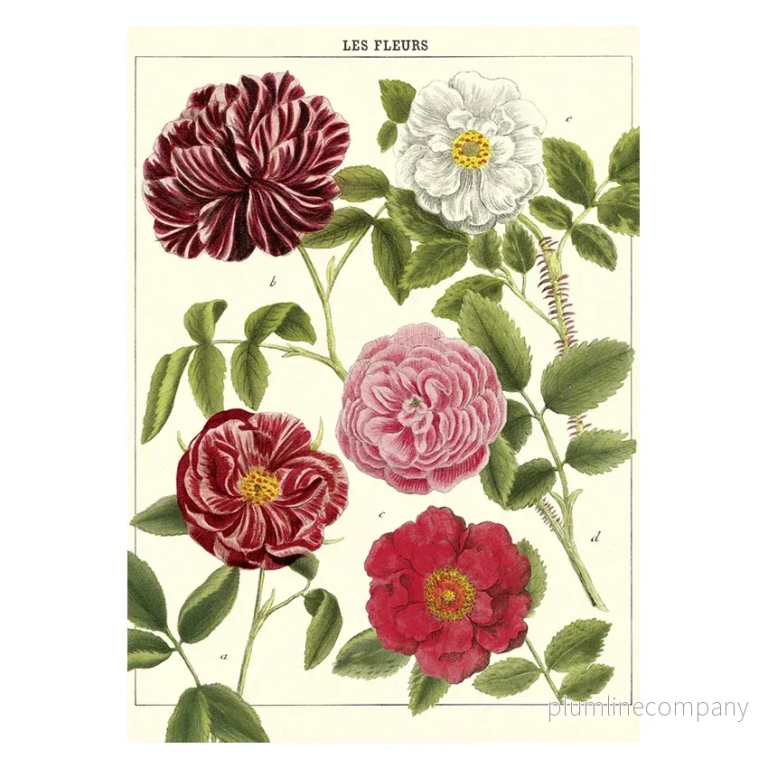 Poster, Blommor L (50 x 70 cm) Poster, Blommor L (50 x 70 cm)