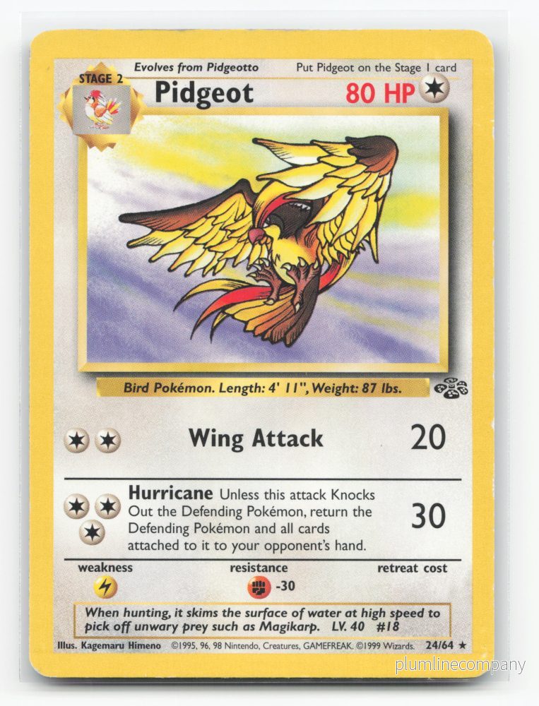 Pidgeot 24/64 – Jungle