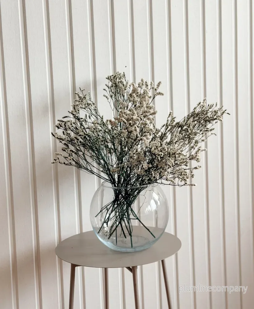 Torkad Limonium