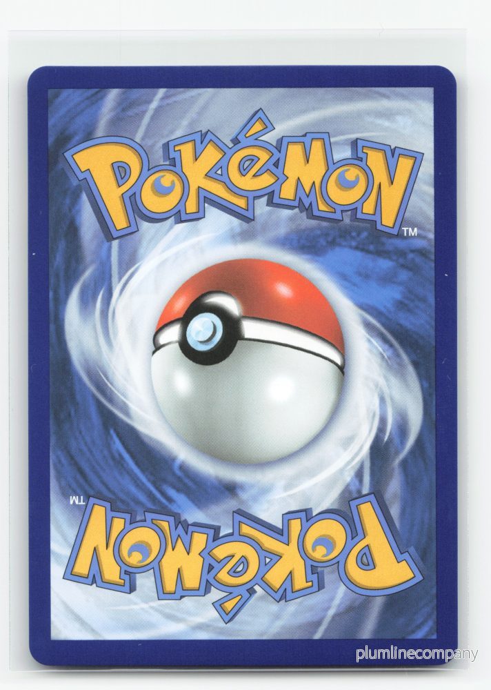 Pikachu V SWSH143 - SWSH Black Star Promos - Bild 2