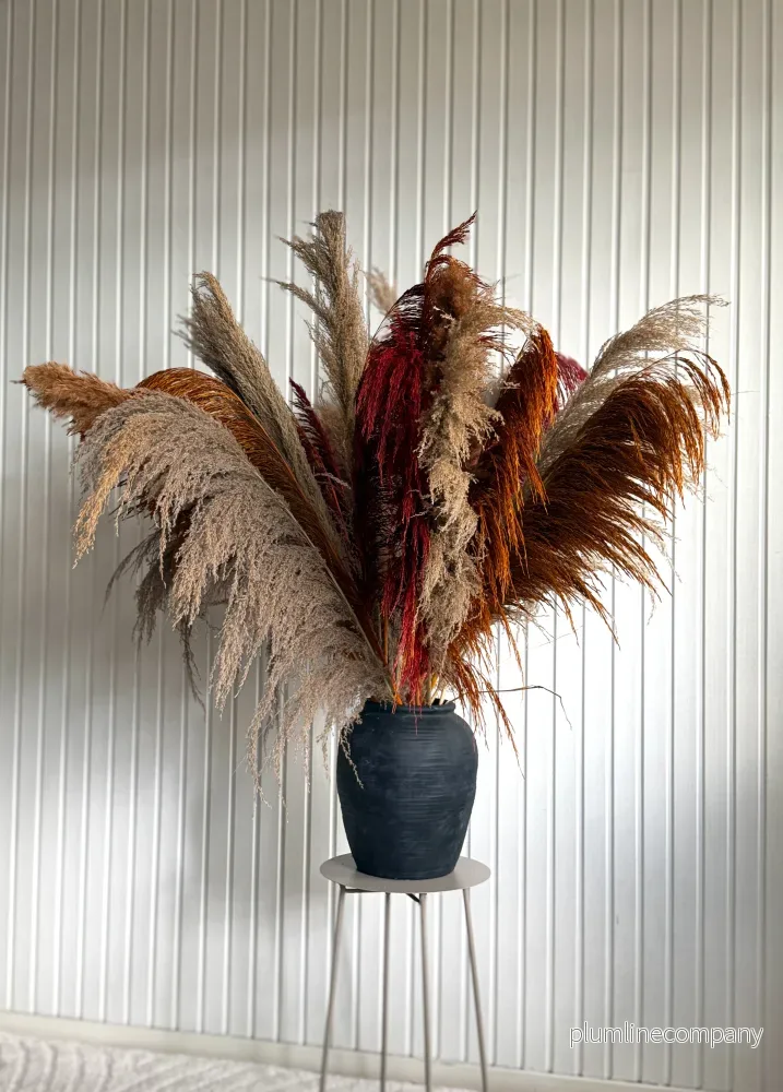 Pampas Mixbunt 'AUGUST' XL