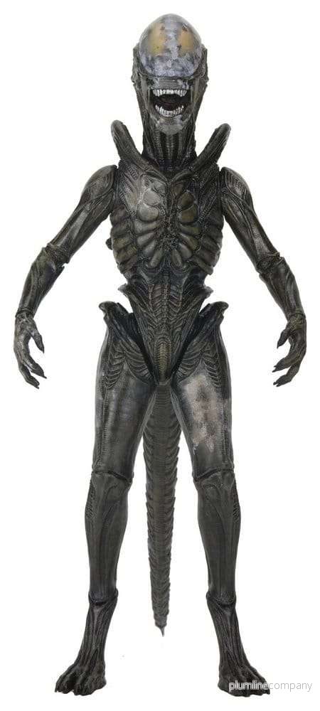 Alien: Earth Ultimate Actionfigur Wendy’s Xenomorph 18 cm Alien: Earth Ultimate Actionfigur Wendy’s Xenomorph 18 cm