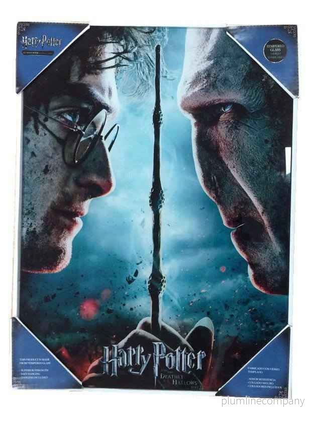 Harry Potter Glasposter Harry & Voldemort 30 x 40 cm - Bild 2
