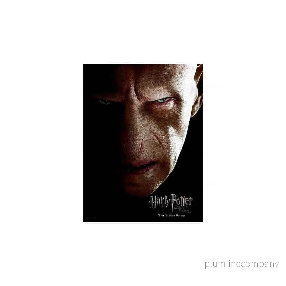 Harry Potter Glassposter Voldemort 30 x 40 cm - Bild 2