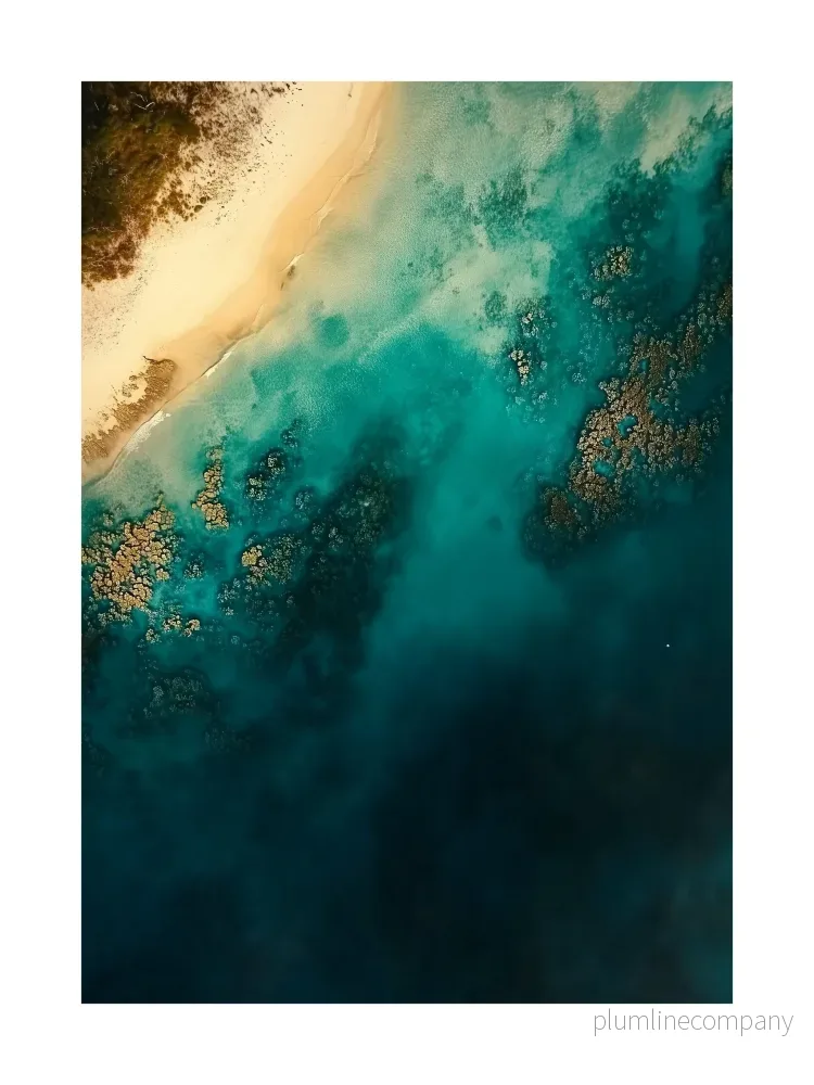 Coral Reef Glow Poster Coral Reef Glow Poster