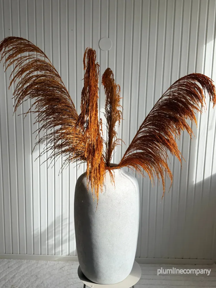 Pampas ’VILDA’ Höst -5pack Pampas ’VILDA’ Höst -5pack