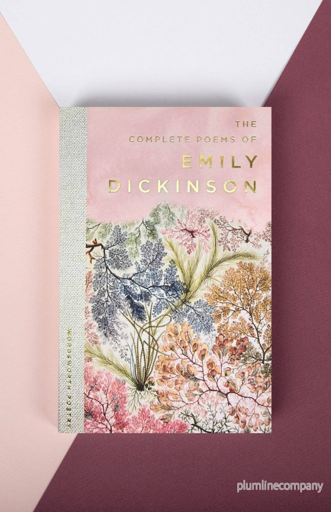 Wordsworth Editions - Utvalda dikter av Emily Dickinson (poesibok i pocketformat)