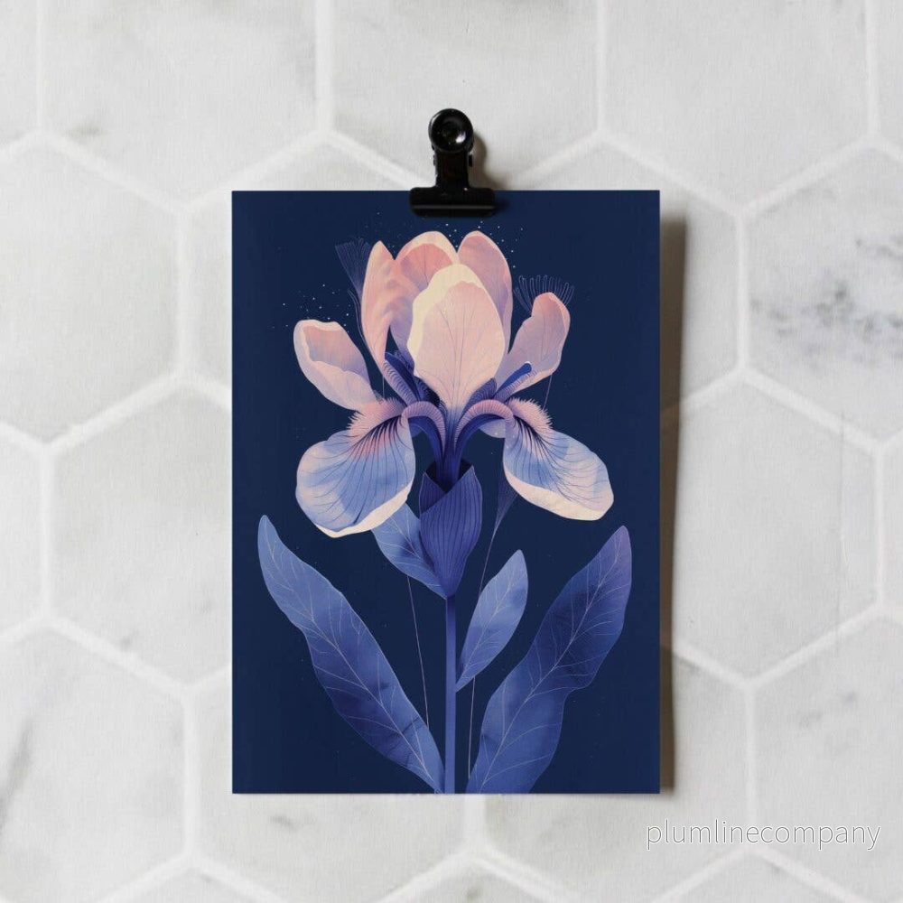 Vykort Iris - Bild 3
