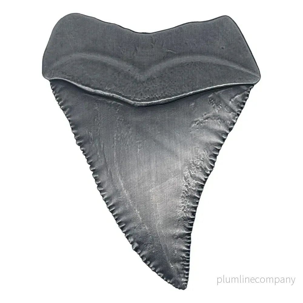 Jaws Medallion 50-årsjubileum Shark Tooth - Bild 3