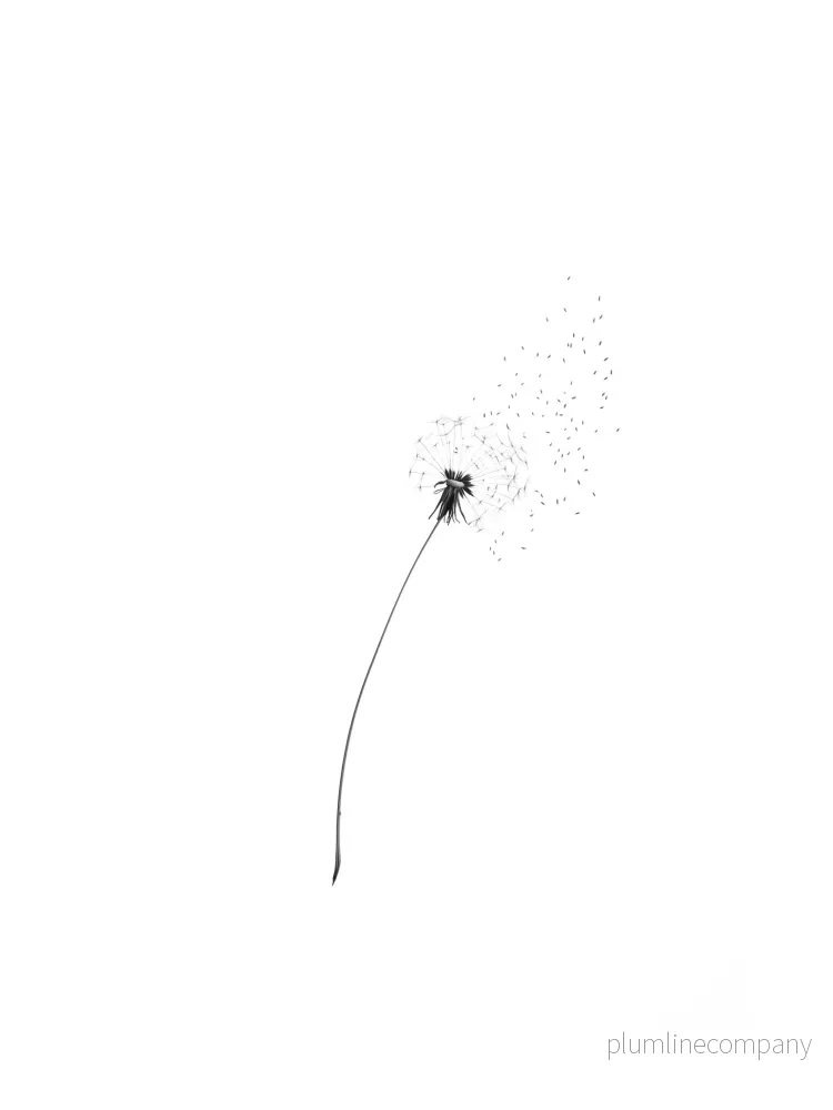 Dandelion Whisper Poster