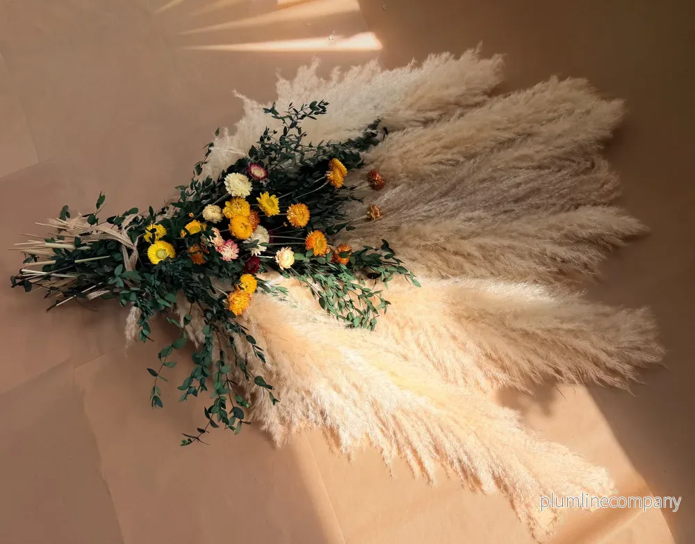 Pampas Mixbunt 'SOMMAR' XL - Bild 3